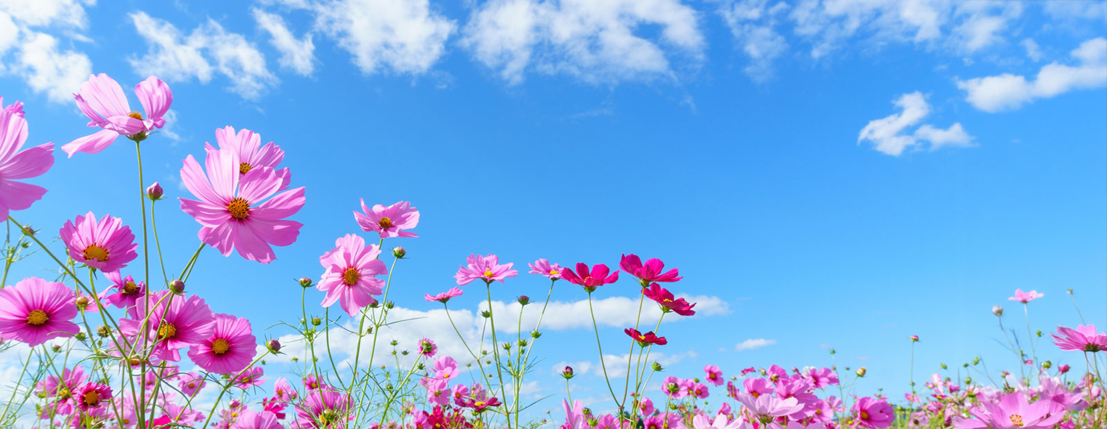 キービジュアルイメージ01